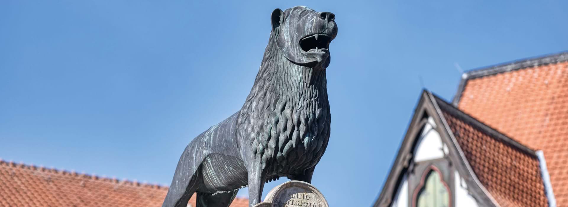 Proficon Immobilien Braunschweiger Löwe